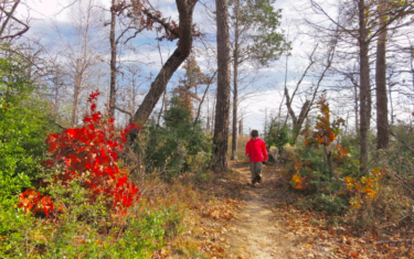 See What’s Growing and Thriving in Bastrop State Park