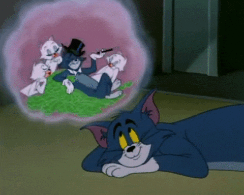 rich-dream-tom-and-jerry