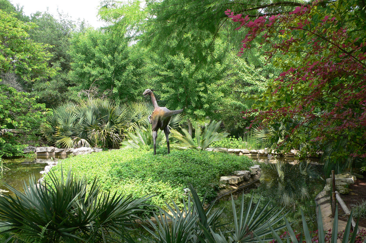 zilker park botanical garden flowers dinosaur statue
