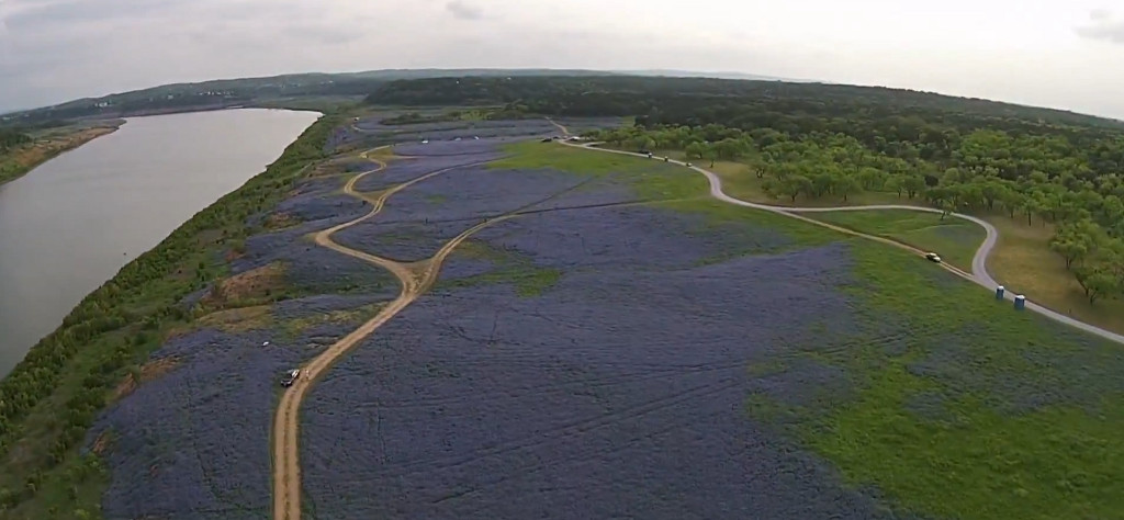 Are There REALLY ‘A Billion Bluebonnets’ In This Crazy Drone Flyover Video? Maybe!