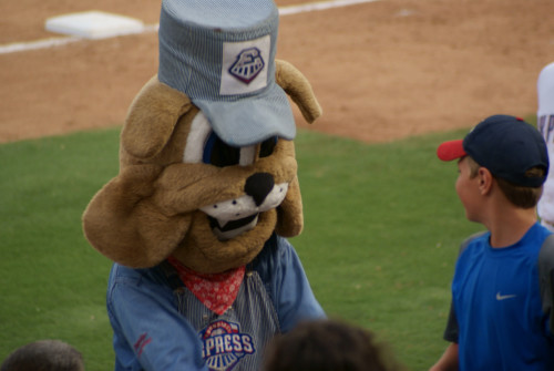 Austin.com Round Rock Express by MarkScottAustinTX