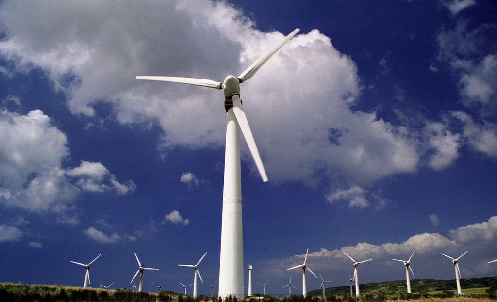 UT Study Shows The True Cost Effectiveness Of Wind Power
