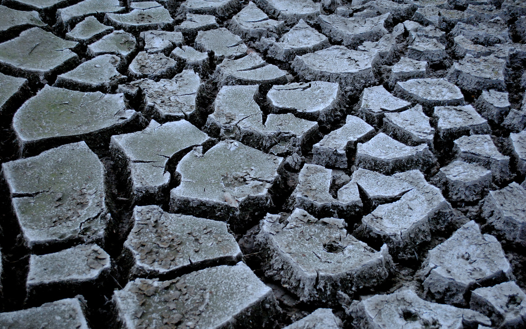 Even After All That Rain, The Drought Has Officially Returned. Here’s What You Need To Know.