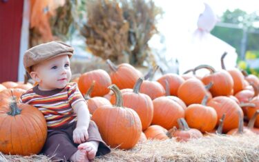 2015 Pumpkin Patches In Austin And Beyond