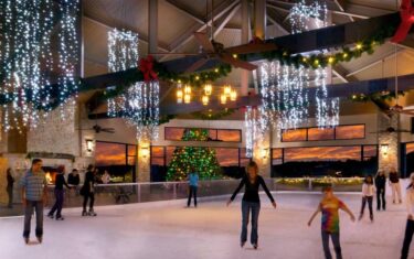 Where To Find Snow & Ice Skating In Austin 2015