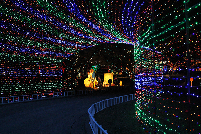 zilker park trail of lights austin holiday christmas zilker tree festival displays HEB