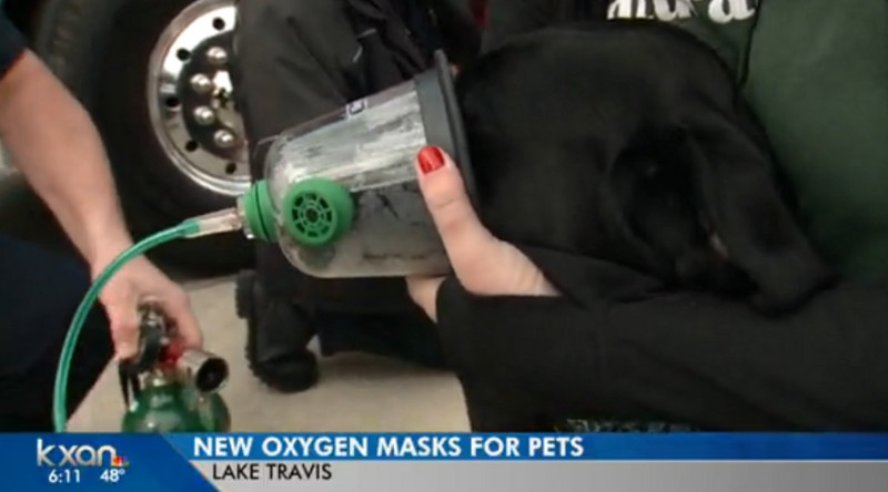 Local Fire Department Now Has Oxygen Masks For Pets