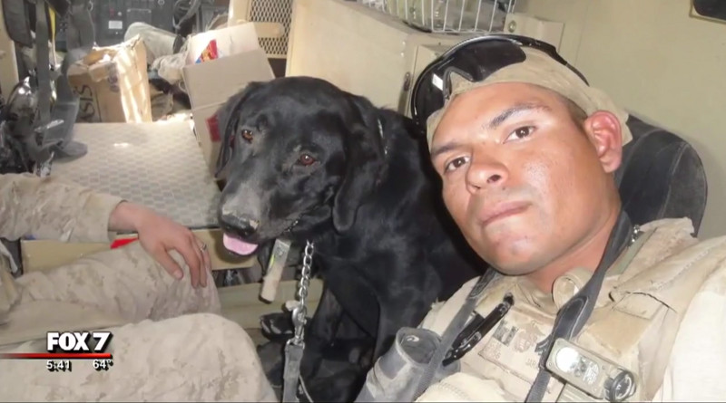 Afghan Veteran From Austin Reunited With Bomb-Sniffing Dog