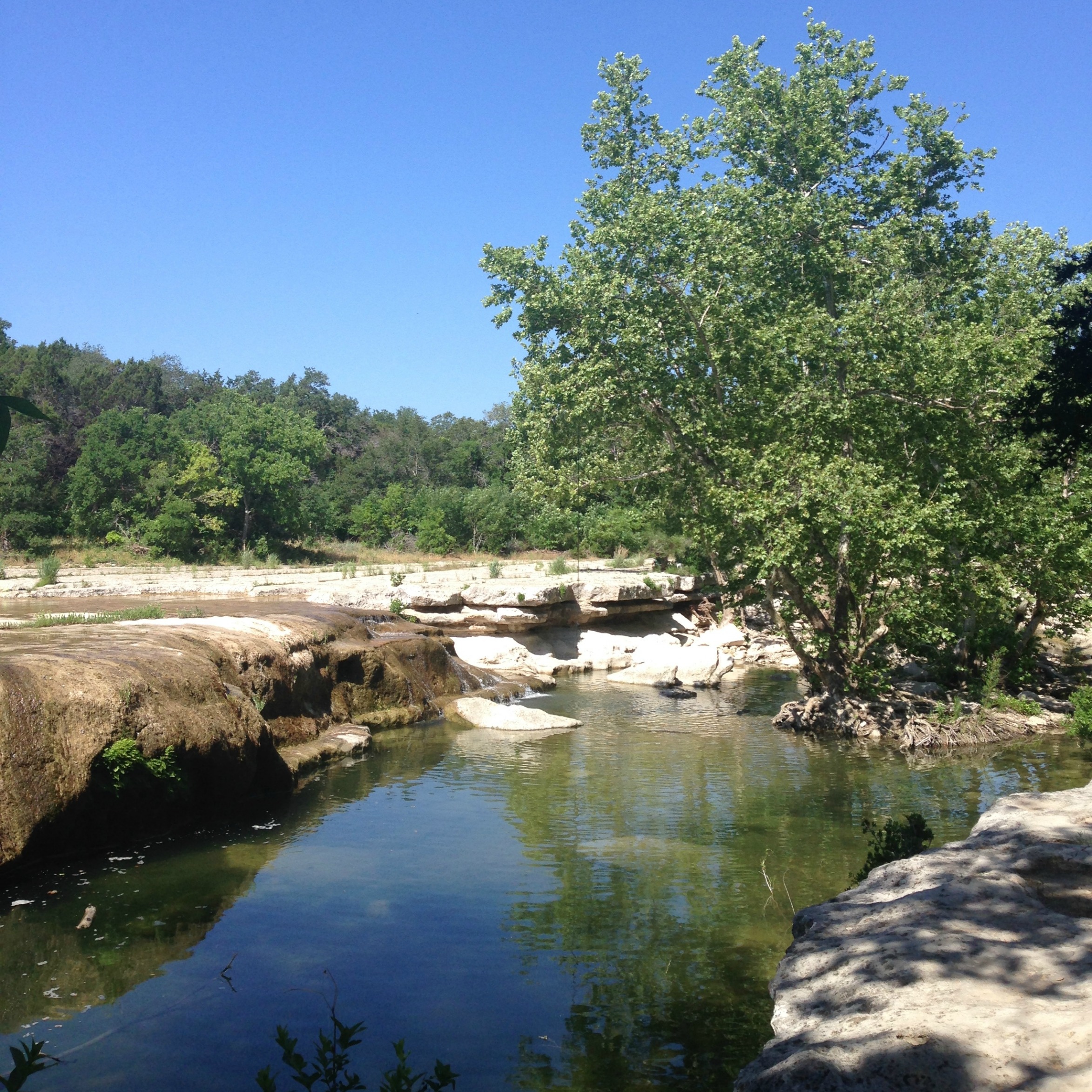 Austin.com bull creek Austin Texas