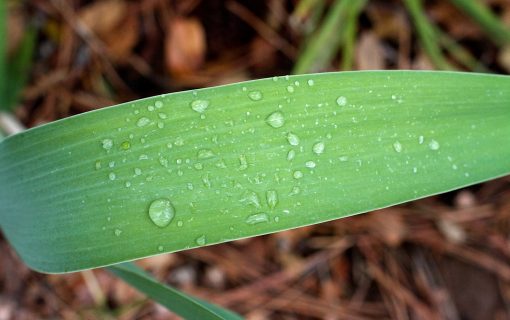 10 Things Smart Austinites Do To Handle The Rain