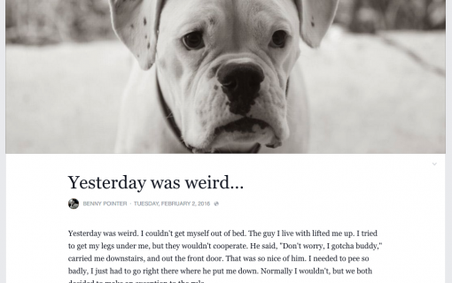 Austin Musician Goes Viral Helping His Ailing Dog Say Goodbye