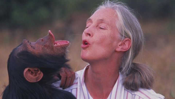 Featured Event: Jane Goodall At The Paramount