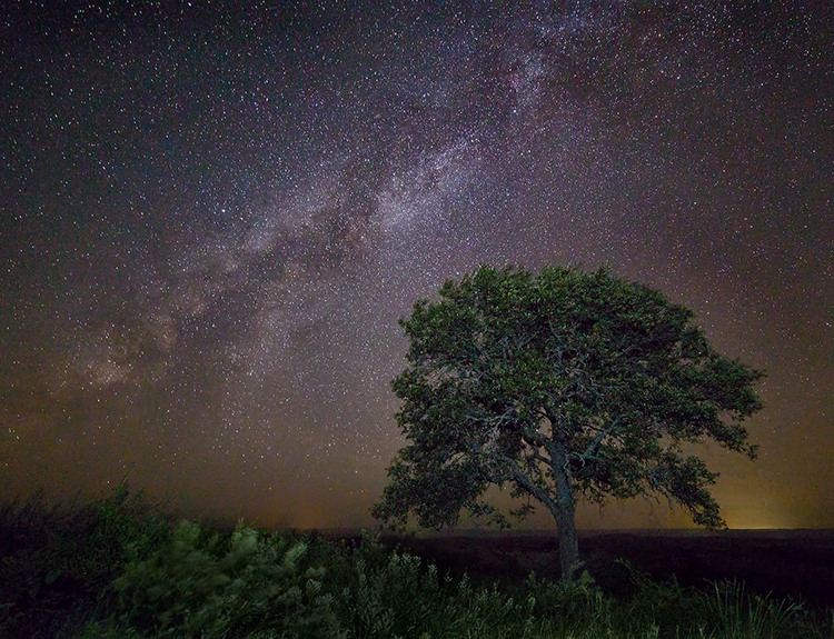 night starry stars astrophotography astronomy stargazing long exposure night photography 