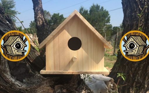 Drink Beer and Help Feathered Friends as The Buzz Mill’s Lumber Society Makes Bird Houses