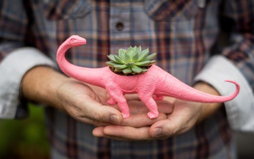 These Adorable Dinosaur Planters Are Pretty Much Taking Over Austin