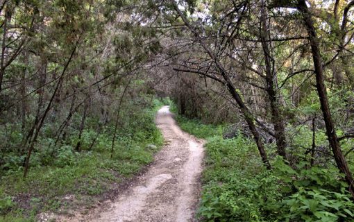 Barton Creek Greenbelt Is Probably The Best Trail In Austin