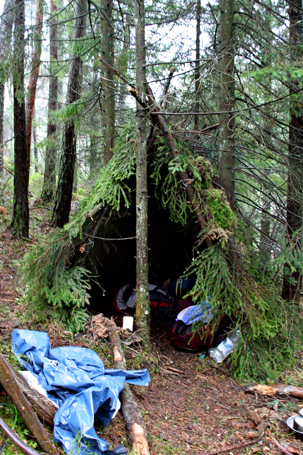 A tent created with sticks and branches