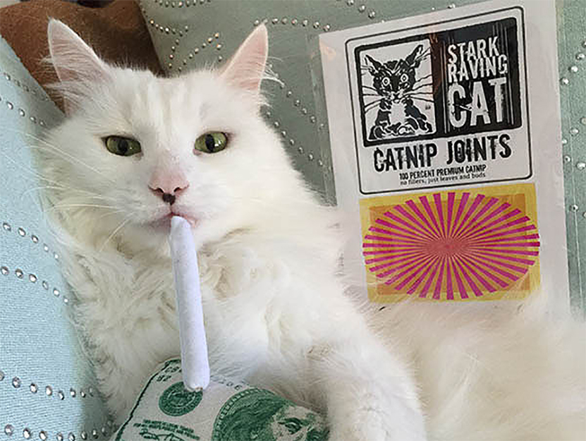 Photo: Stark Raving Cat's Catnip Joints ($)