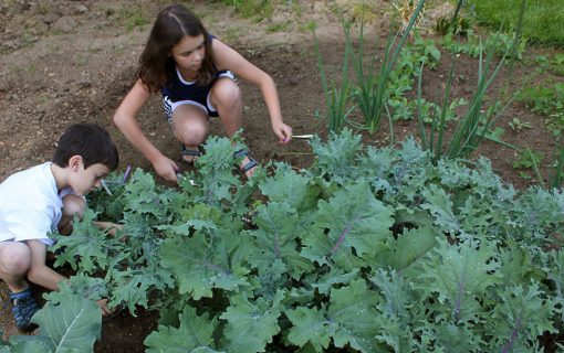 The Future Looks Bright, And Green, Thanks To These Austin Youth Programs