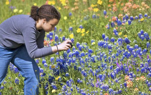 Beyond The Bluebonnet: 10 *Other* Texas Flowers You Should Be Taking Selfies With