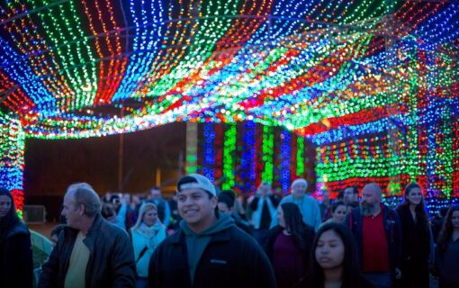 Navigating the Austin Trail of Lights 2018 — We’ve Got Tickets to Give Away!!