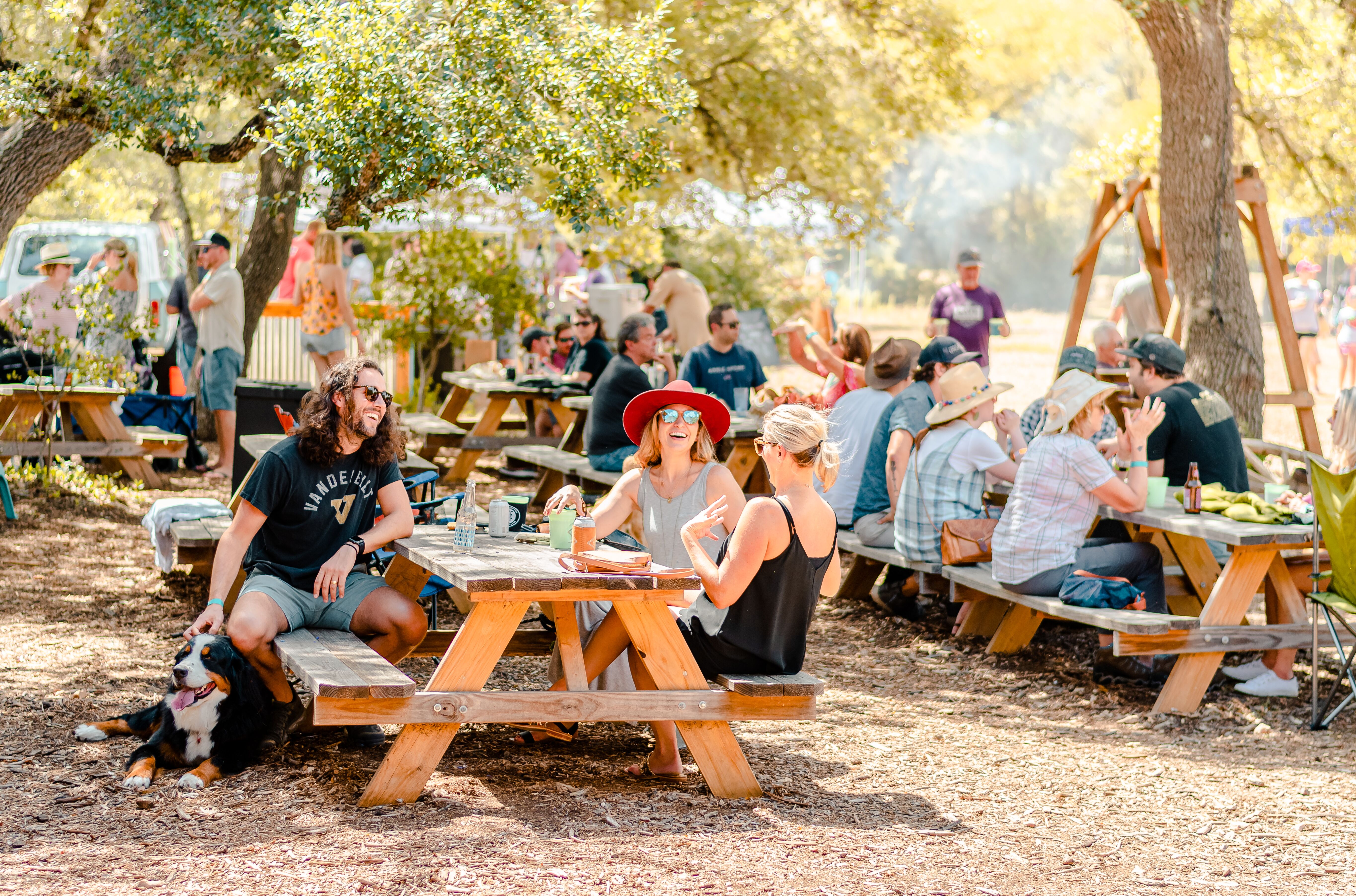 Best Thanksgiving Events Happening in Austin Texas