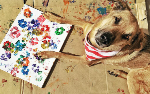 Create A Pawsitively Purrfect Art Project With Your Pets