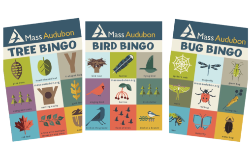 Get Your Kids Exploring The Outdoors With Nature Bingo