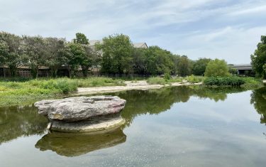 5 FREE Things To Do In Round Rock