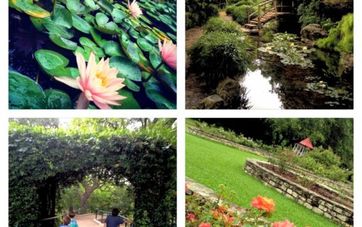 Zilker Botanical Garden: Budget-Friendly Outing for Families