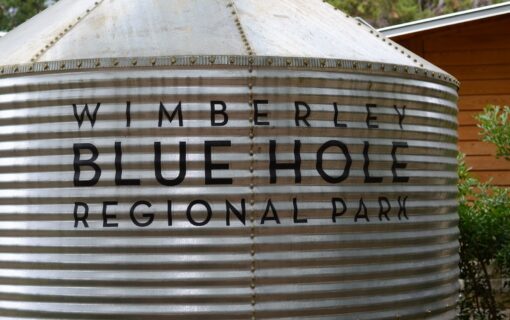 Day Trip: Wimberley Blue Hole Regional Park