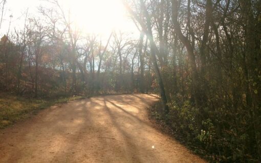 Running Trails in and Around Austin