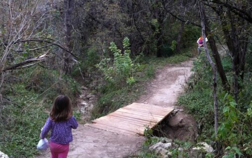 FREE Hike: Barton Creek at 360 Access