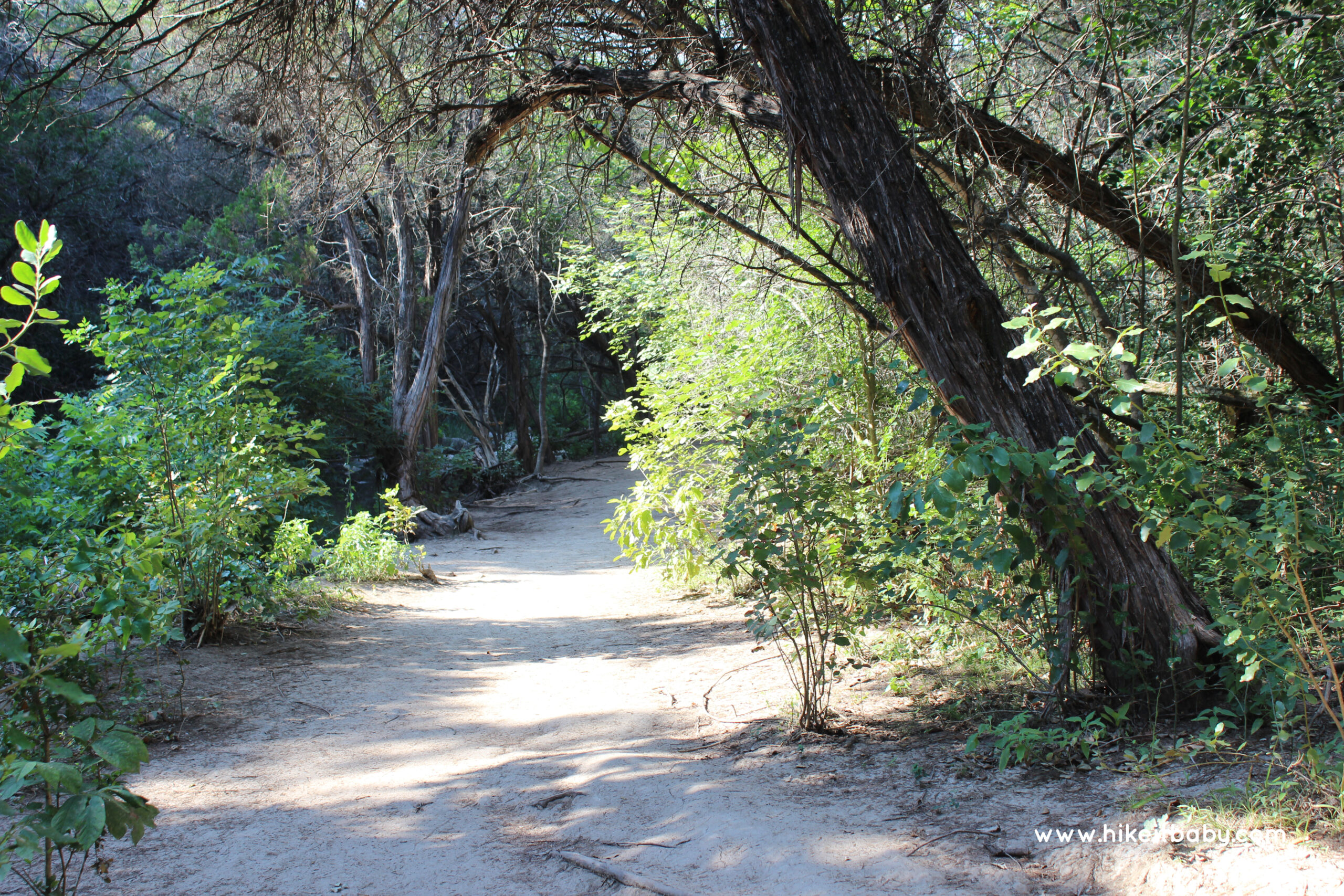 Turkey Creek Trail