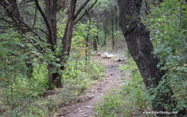 Park Profile: Violet Crown Trail – Hwy 290 Trailhead