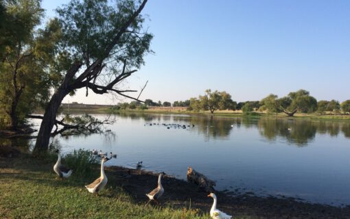 Park Profile: Old Settlers Park in Round Rock