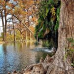 Absolutely Everything You Need to Know About Krause Springs