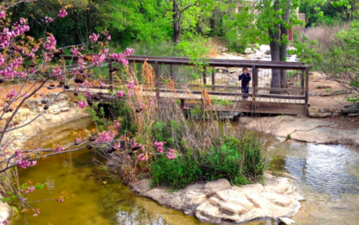 Austin Nature & Science Center (15 Parks in 2015: #1)