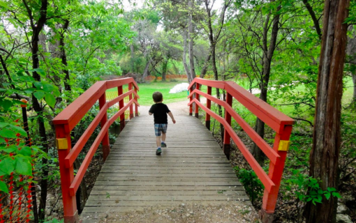 Reader Recommended: Favorite Parks in Austin and Beyond
