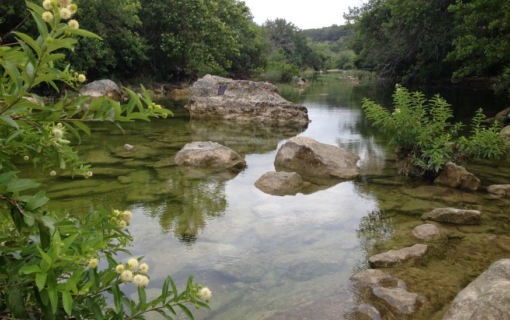 Take a Hike on the Barton Creek Greenbelt
