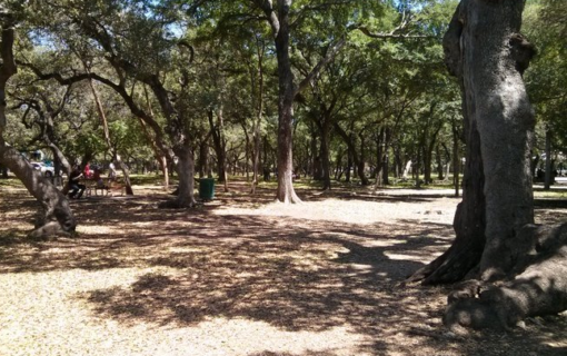 Park Profile: Springwoods Park in North Austin