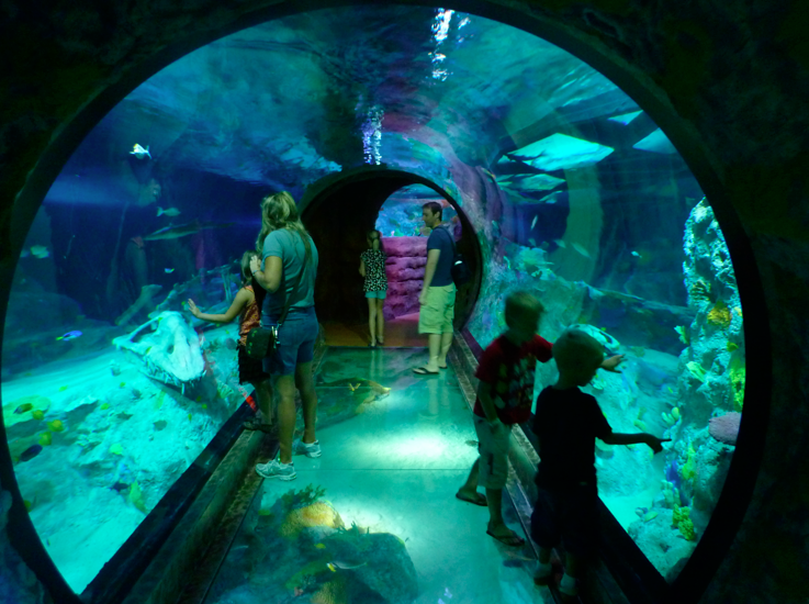 SEA LIFE Aquarium Dallas Fort Worth