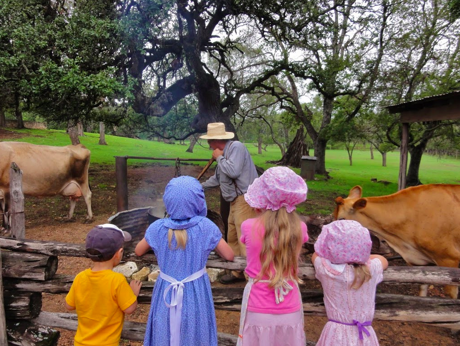Children watch a farmer clean up after cows