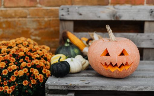 Top 3 Austin Halloween Events That Are Perfect For the Whole Family
