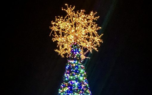 Mark Your Calendars! The Texas Capitol Tree Lighting Happening on December 4
