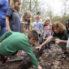 5 free things to do in houston