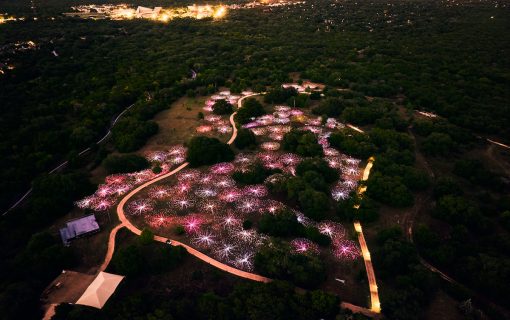 You Don’t Want To Miss The Field of Light at Lady Bird Johnson Wildflower Center
