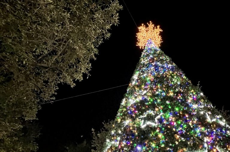 Massive List Of All Austin Holiday Lights, Photo Ops and More