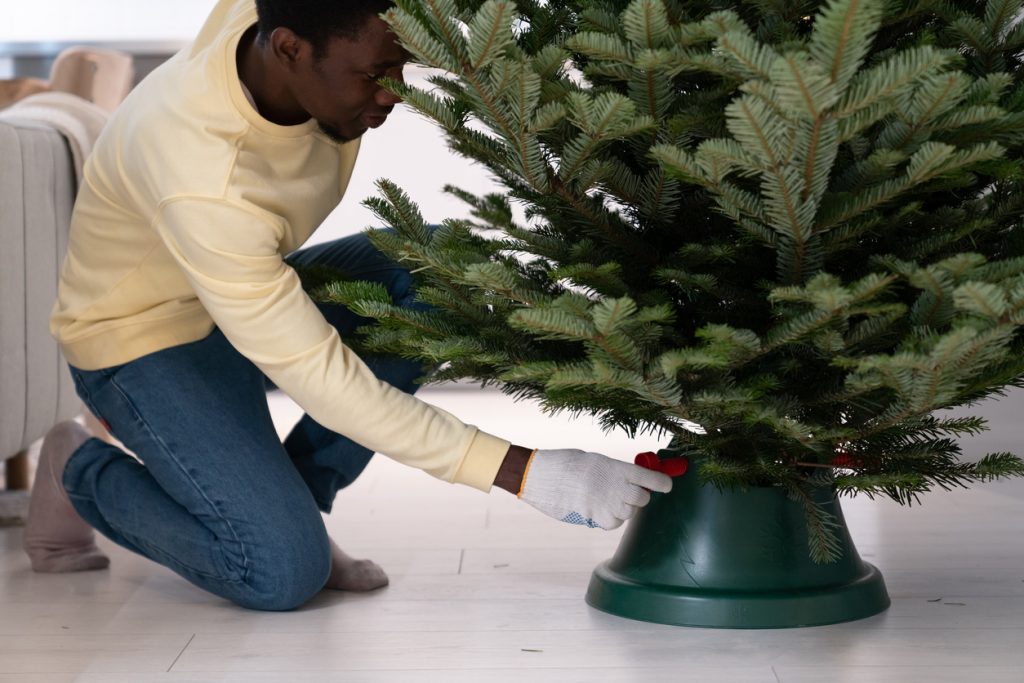 Recycle Your Christmas Tree