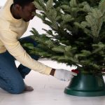 Wondering What To Do With Your Christmas Tree? We Have The Answer!